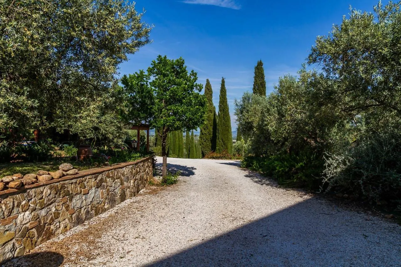 Villa Bouganville - Colleberto Follonica Italy
