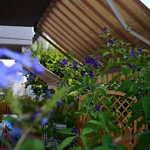 Domus Socolatae Apartments&suites Affittacamere